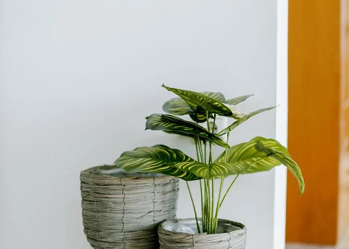 Zipari Oasis Modern Comforts With Stunning Views Daire *