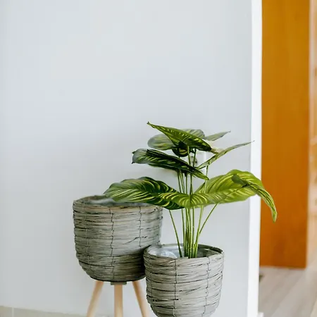 Zipari Oasis Modern Comforts With Stunning Views Apartment *